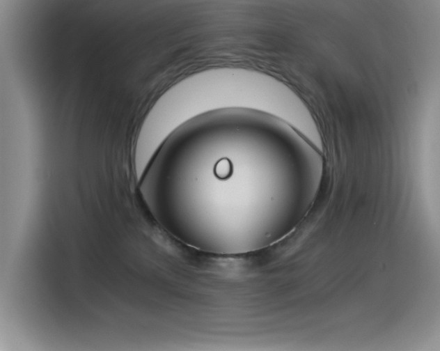 X0000115240233200911061154