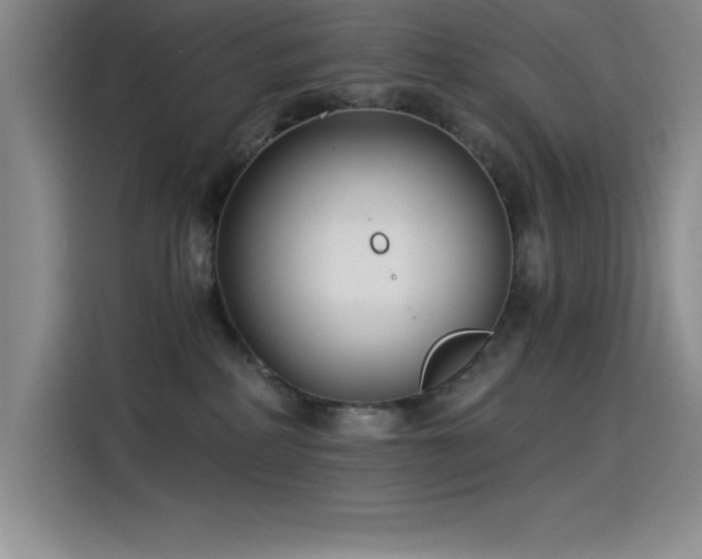X0000115240234200911061154