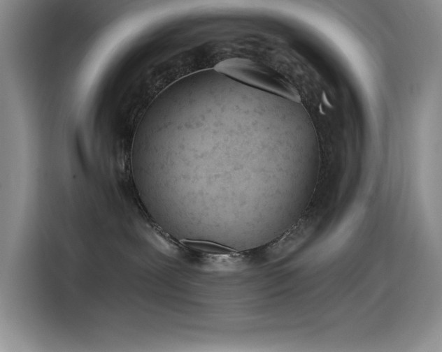 X0000115240239200911061154
