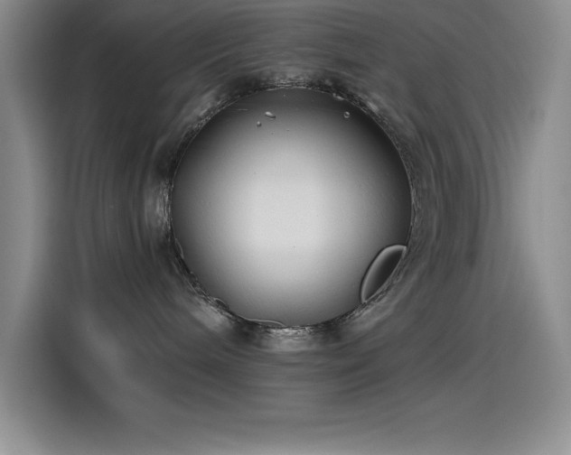 X0000115240240200911061154