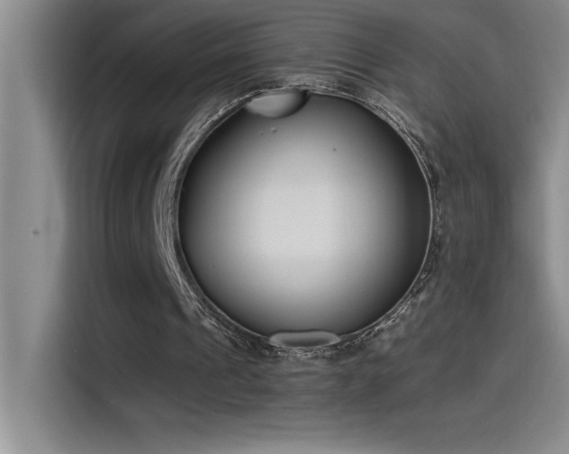 X0000115240241200911061153