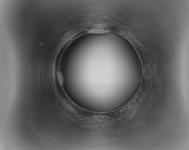 X0000115240242200911061153