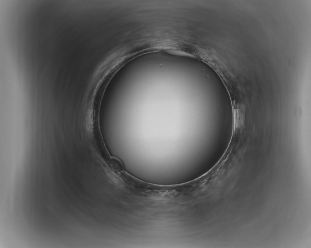 X0000115240243200911061153