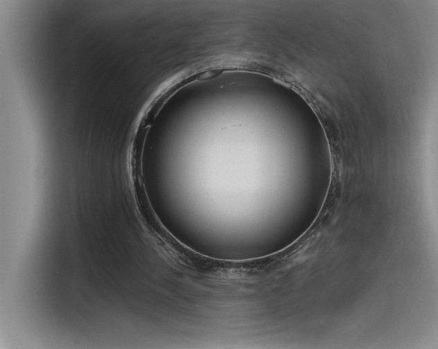 X0000115240244200911061153