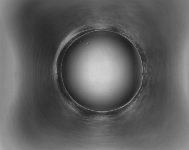 X0000115240246200911061153