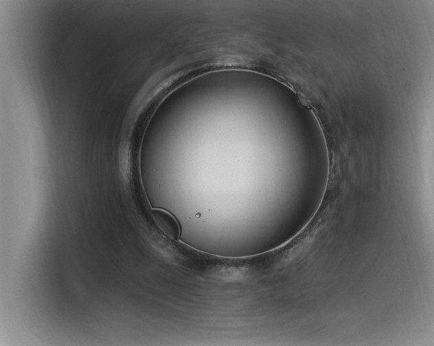 X0000115240247200911061153