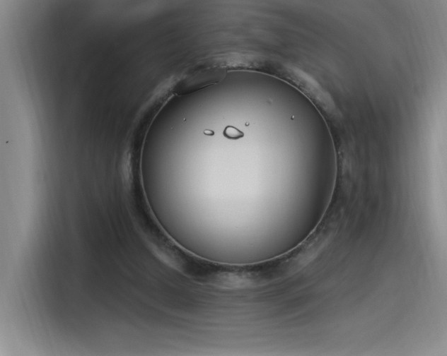 X0000115240250200911061153