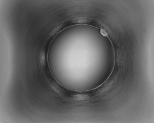X0000115240251200911061153