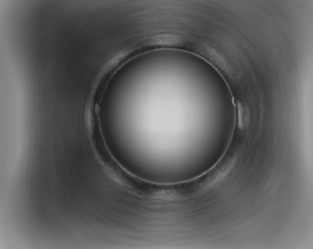 X0000115240252200911061153