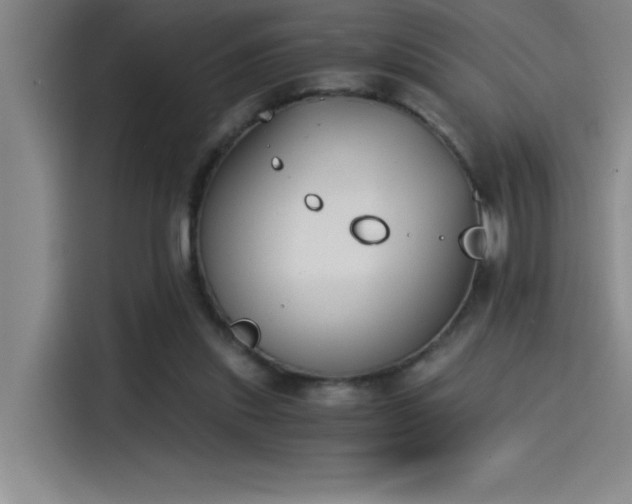 X0000115240253200911061153