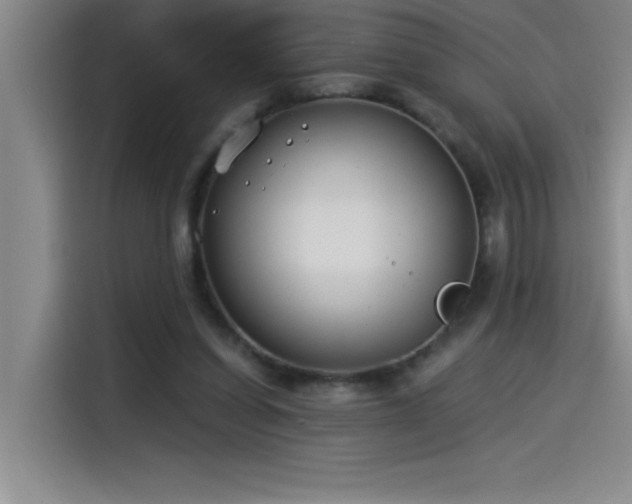 X0000115240254200911061153