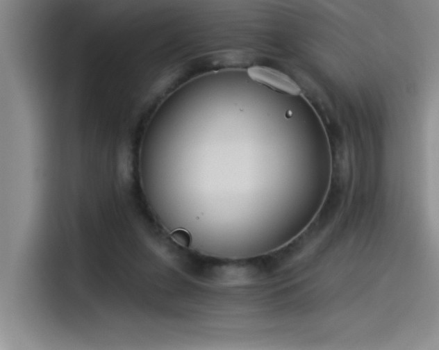 X0000115240255200911061153