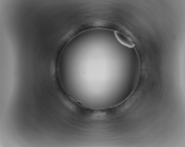 X0000115240257200911061153