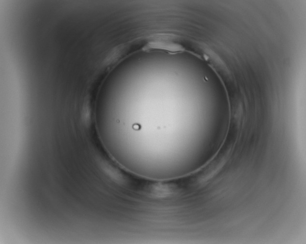 X0000115240261200911061153
