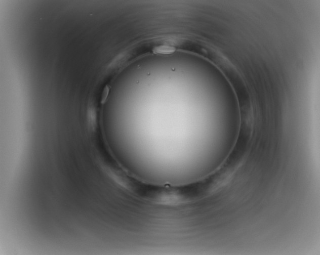 X0000115240262200911061153