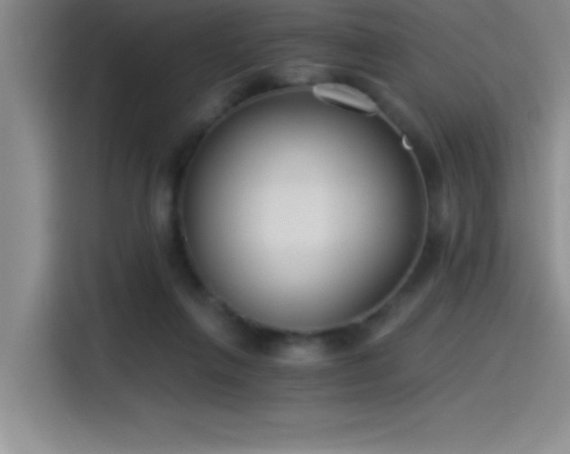 X0000115240263200911061153