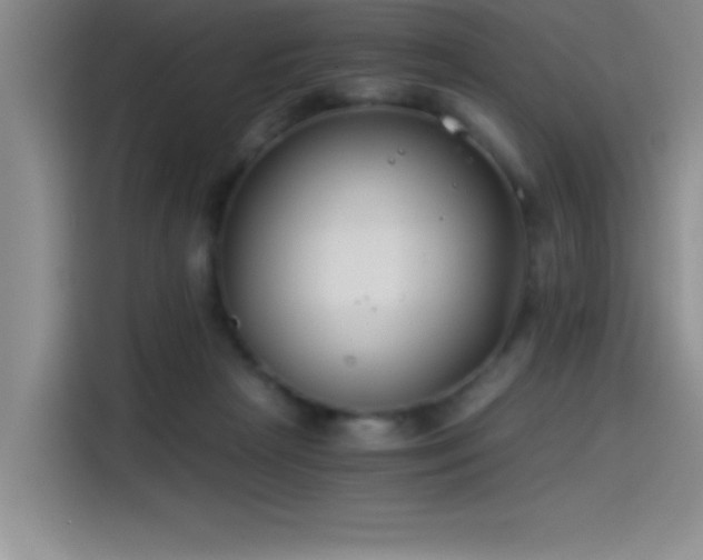 X0000115240265200911061153