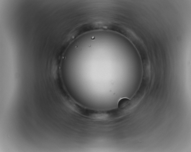 X0000115240266200911061153