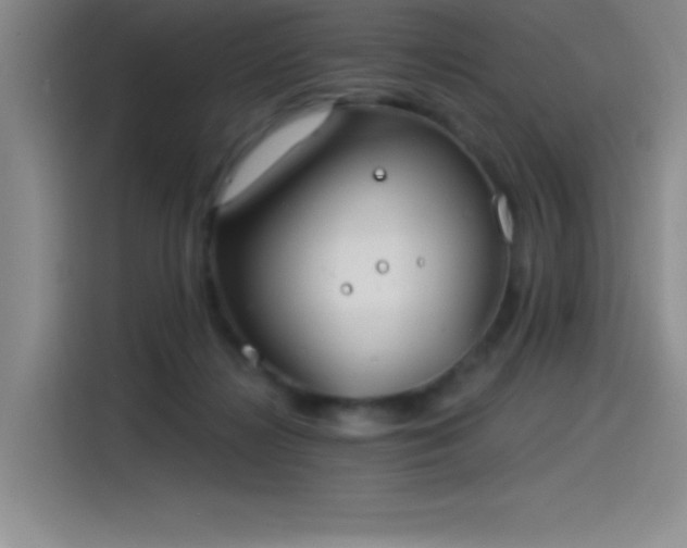 X0000115240268200911061153