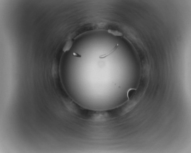 X0000115240274200911061154