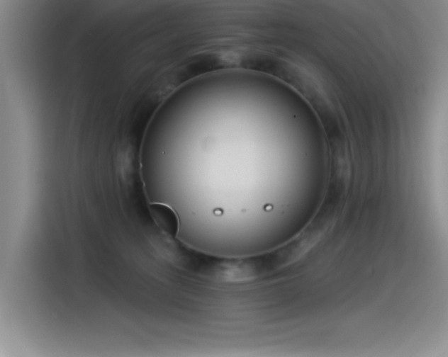 X0000115240275200911061154