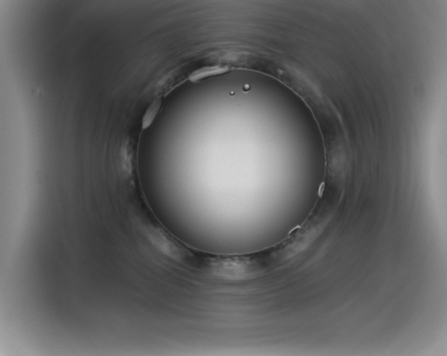 X0000115240282200911061154
