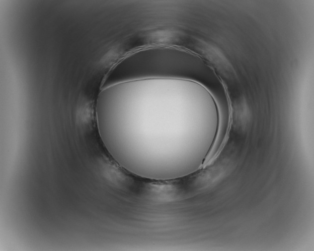 X0000115240284200911061154