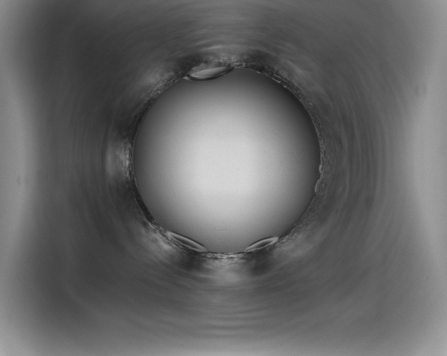 X0000115240288200911061154