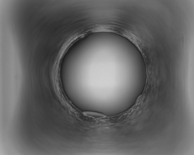 X0000115240289200911061153
