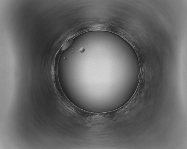 X0000115240290200911061153