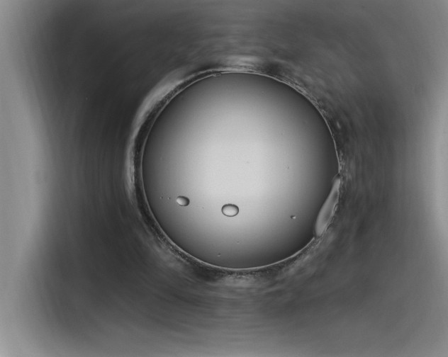 X0000115240294200911061153