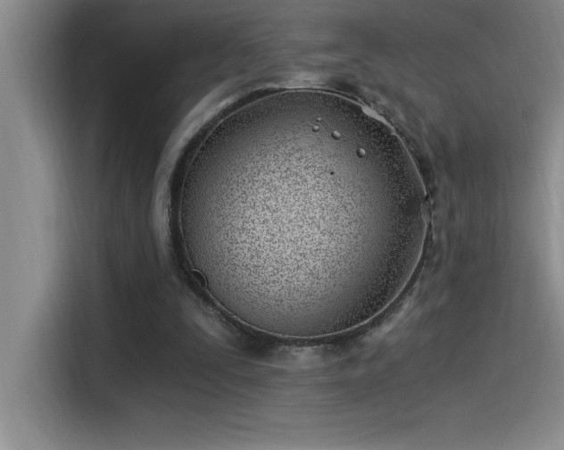 X0000115240295200911061153