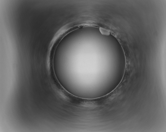 X0000115240296200911061153