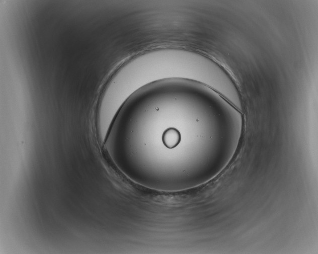 X0000115240297200911061153