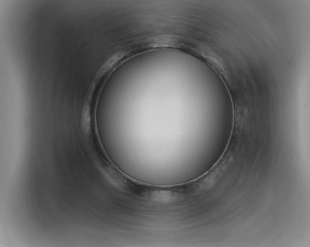 X0000115240298200911061153
