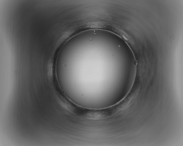 X0000115240299200911061153