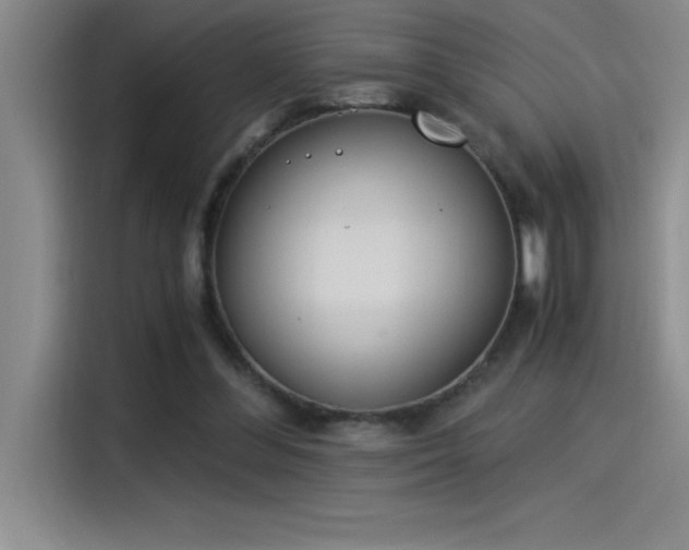 X0000115240300200911061153
