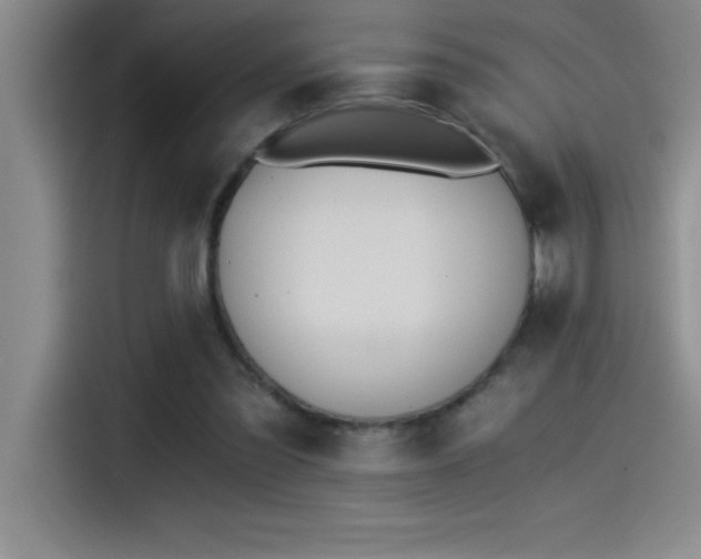X0000115240301200911061153