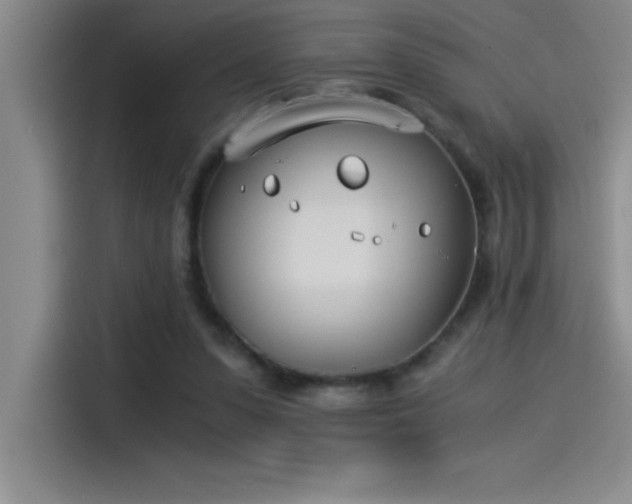 X0000115240303200911061153