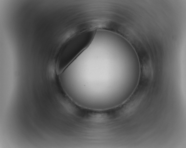 X0000115240304200911061153