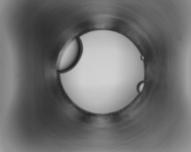 X0000115240305200911061153