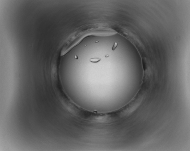 X0000115240306200911061153
