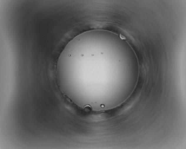 X0000115240307200911061153
