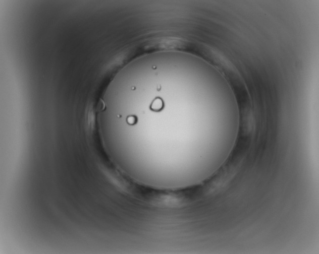 X0000115240310200911061153