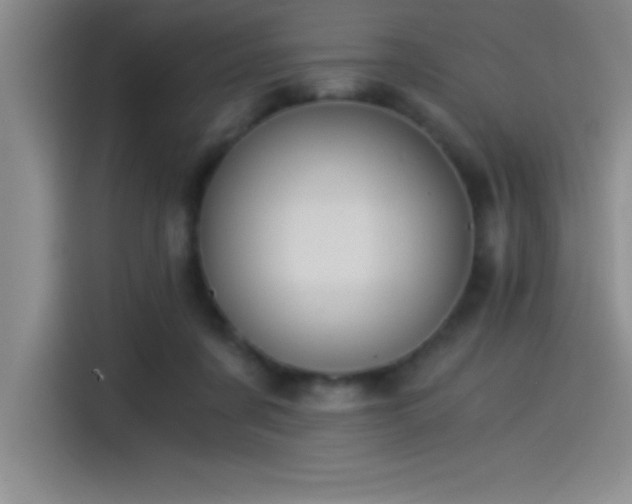 X0000115240311200911061153