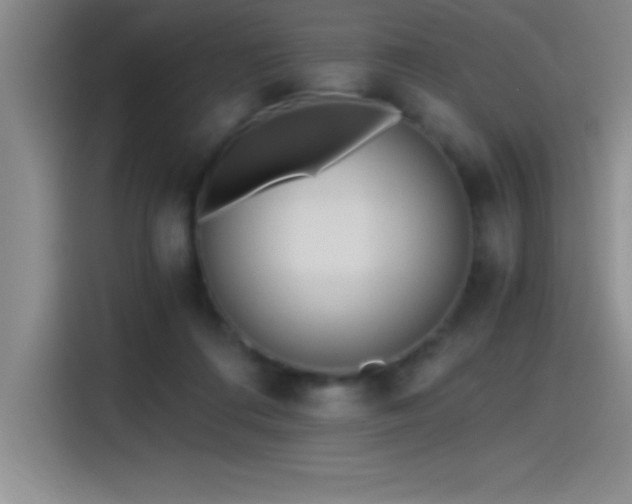 X0000115240312200911061153