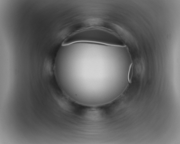 X0000115240316200911061153