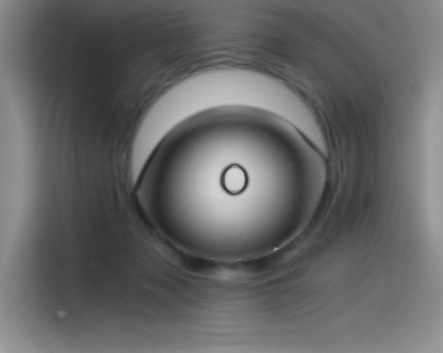 X0000115240317200911061153