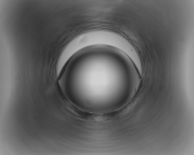 X0000115240325200911061153