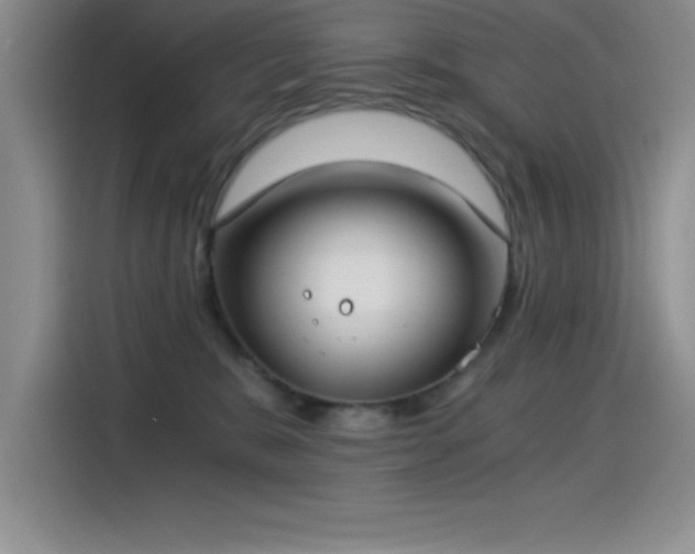 X0000115240327200911061153